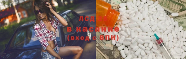 СК Снежногорск