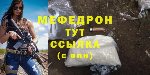 СК Снежногорск