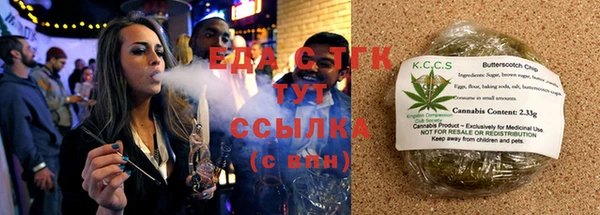 СК Снежногорск