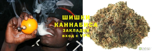СК Снежногорск