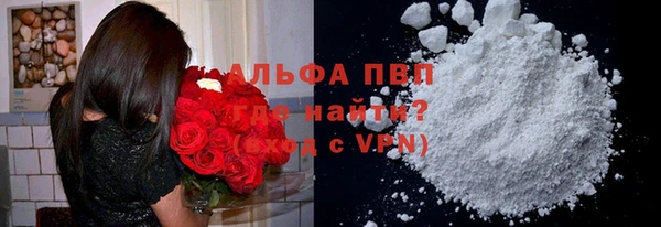 СК Снежногорск