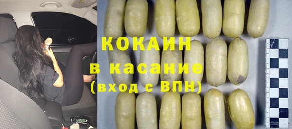 СК Снежногорск