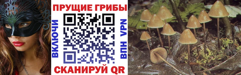 Псилоцибиновые грибы мицелий  сайты даркнета официальный сайт  Дыгулыбгей 