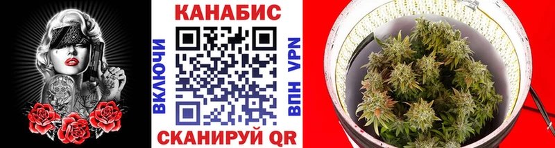 Конопля OG Kush  Дыгулыбгей 